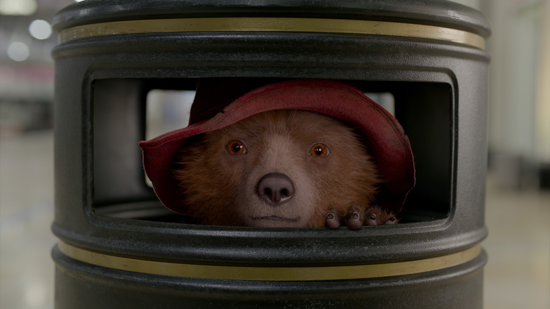 Paddington 2c