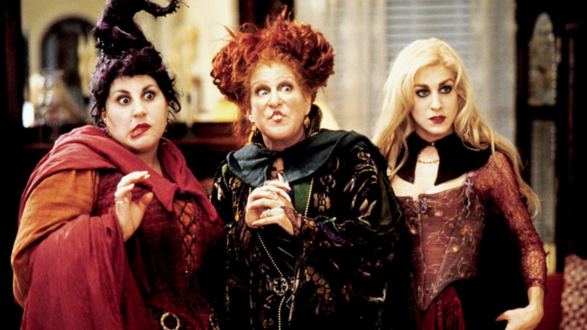 film__16276-hocus-pocus--hi_res-fc1a6afe