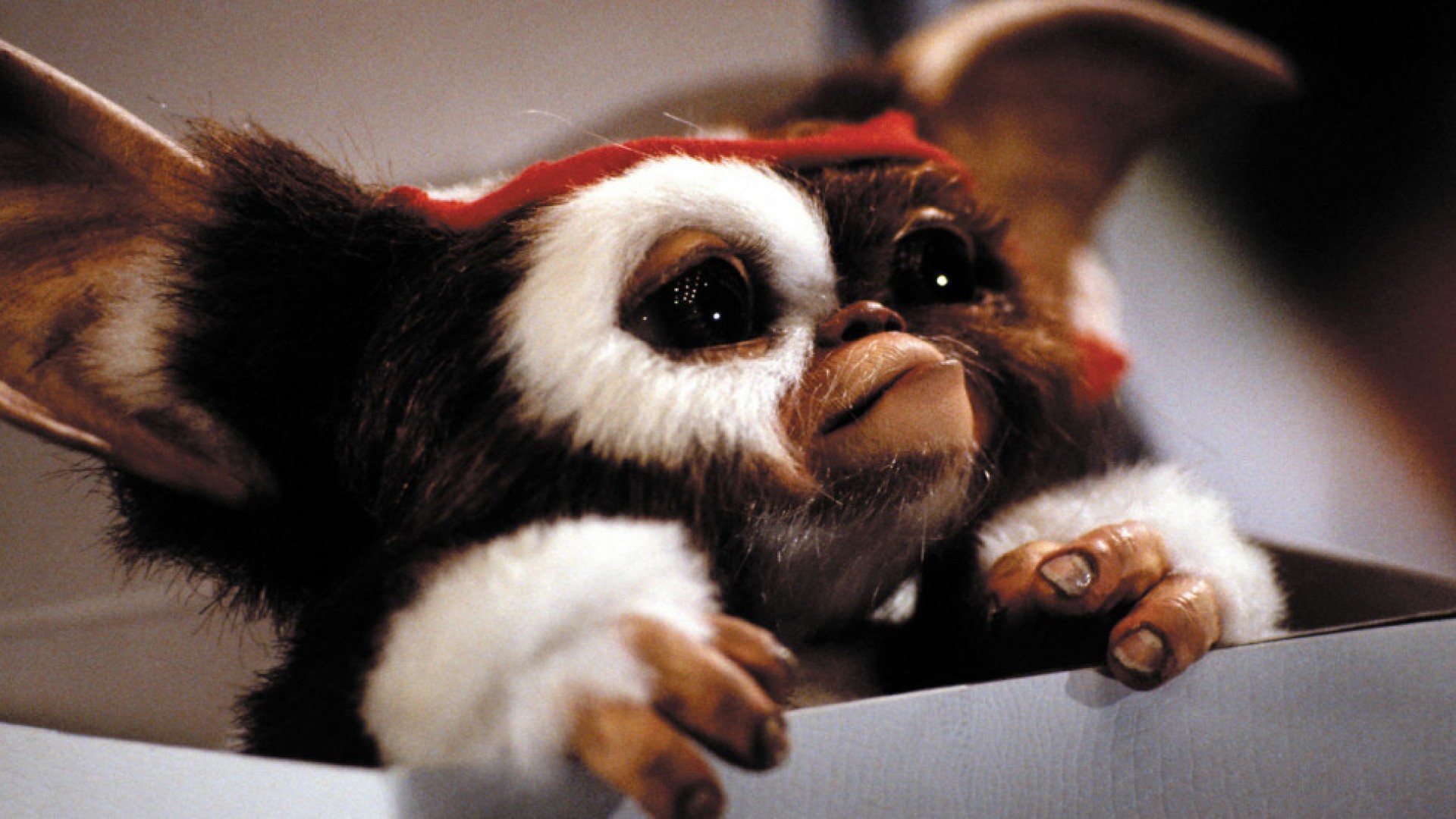 film__3488-gremlins--hi_res-c5ee4df7