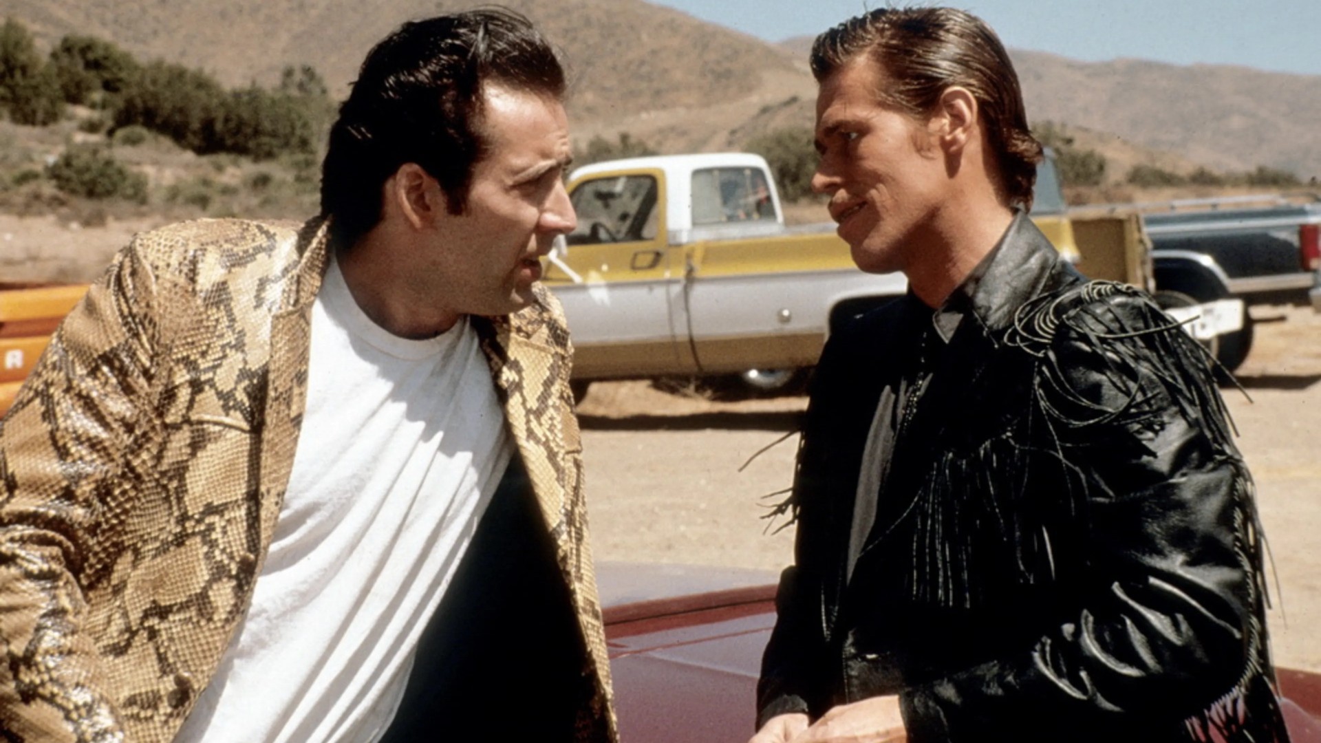 Wild at heart (3)