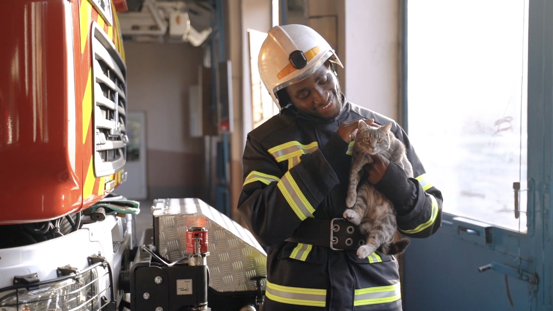 fireman with kitten