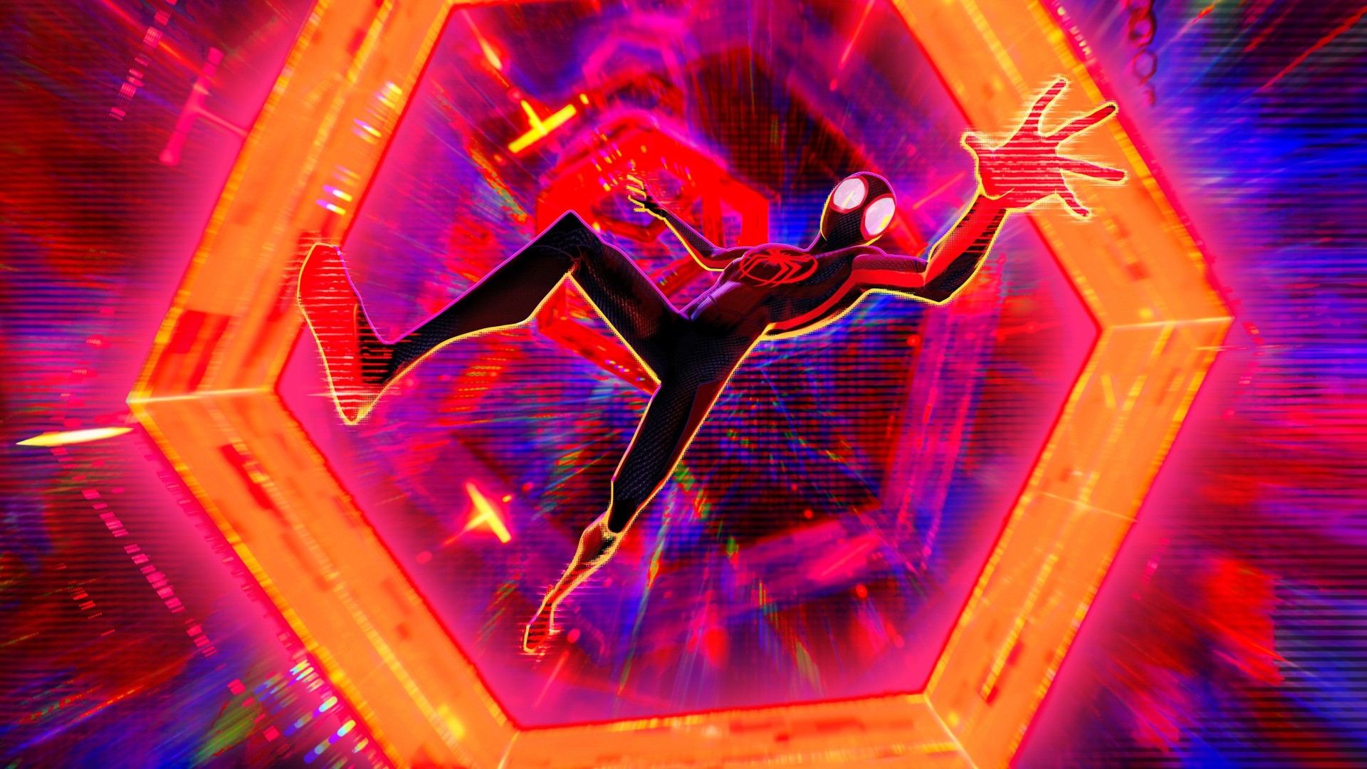 Spider 3