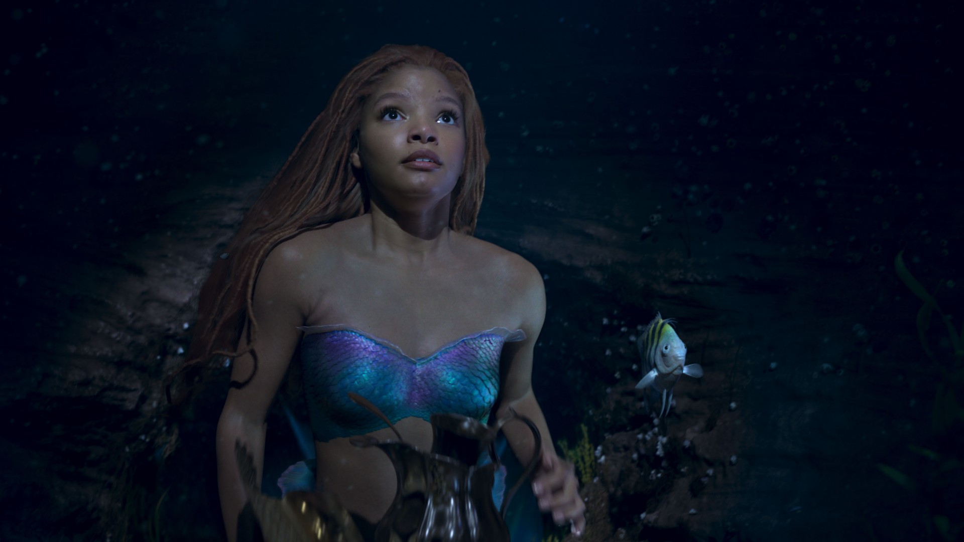 Little Mermaid 3