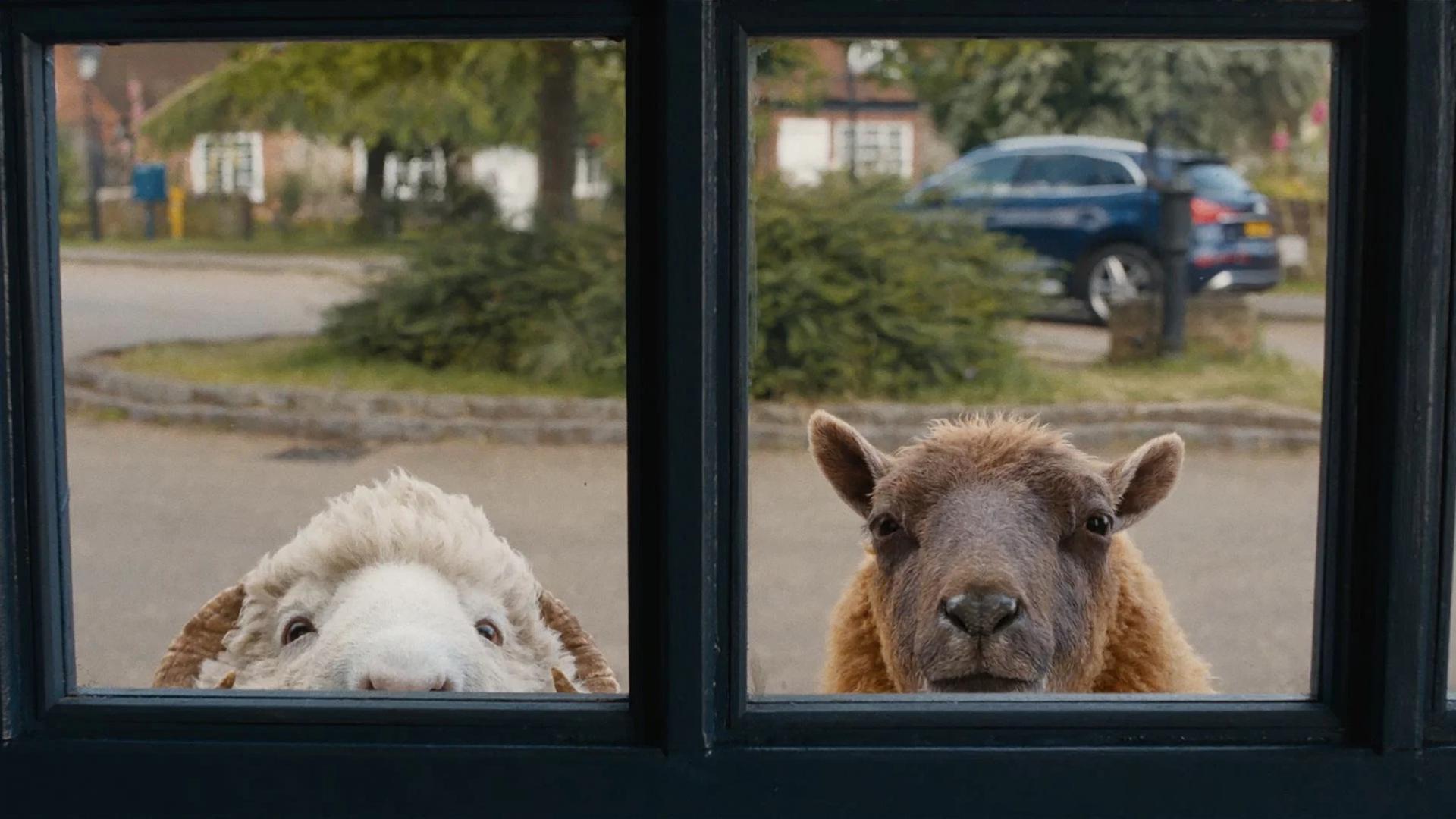 wNrPQ8NpO5SPEtGPLNyXJc5zQyI