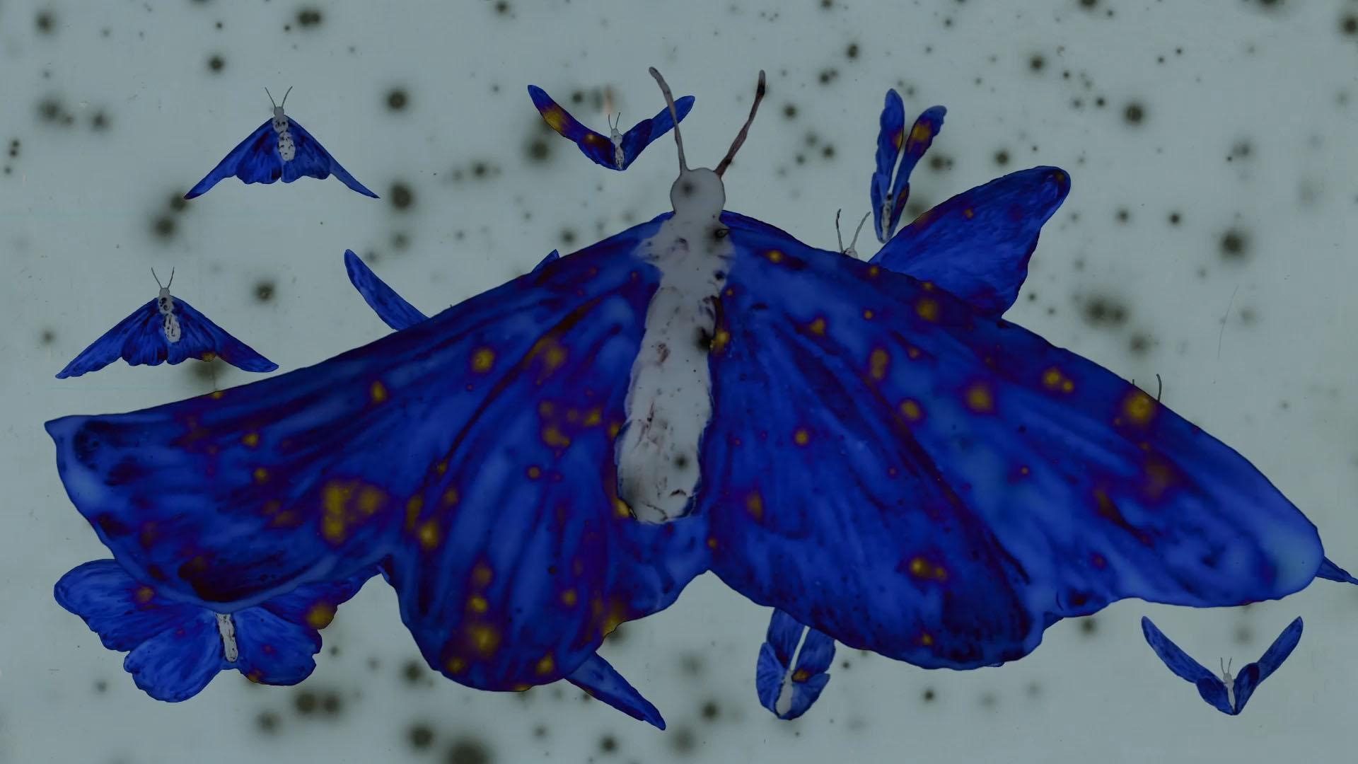 e5f2c180-e9ae-4963-868b-1898c6d9ee30