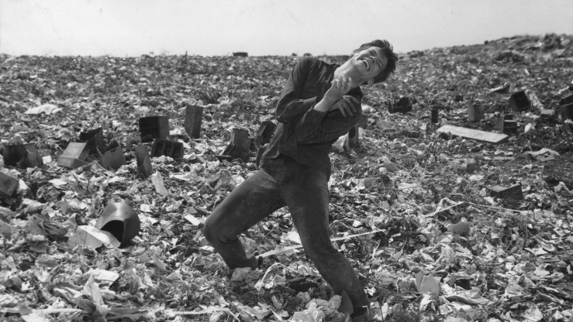 Ashes and Diamonds-BFI