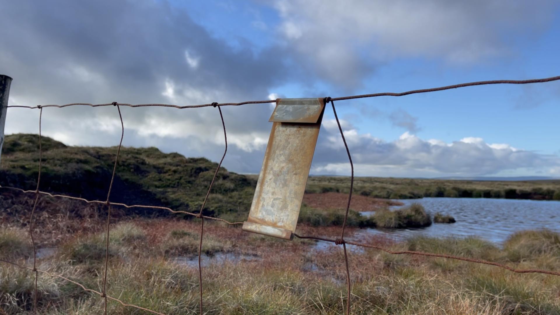 Anna Turner_Riggs Moor (film still) v