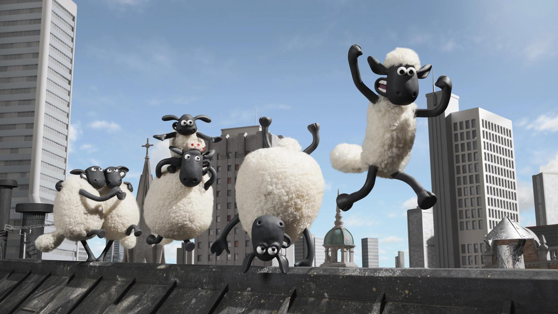 shaun 3