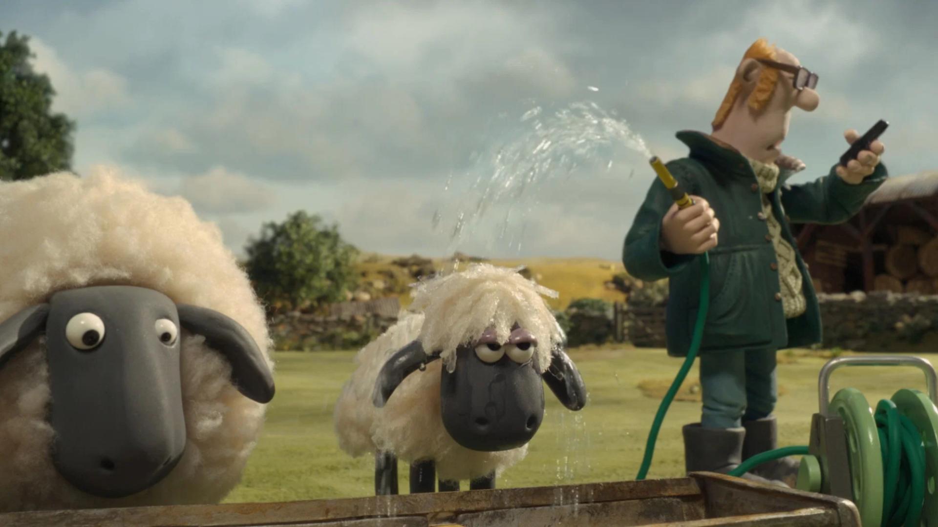 shaun 4