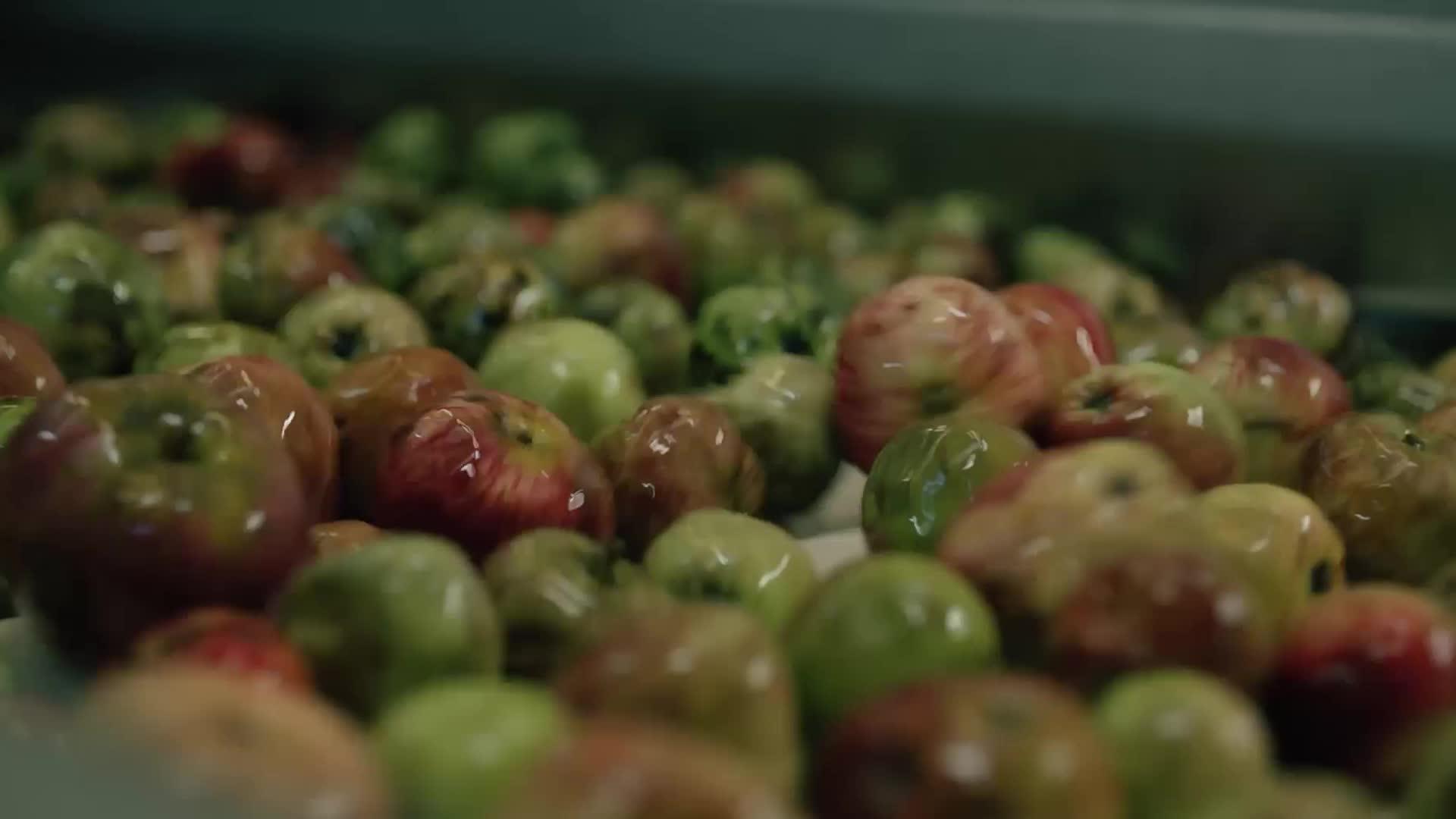 Bad Apples website clip